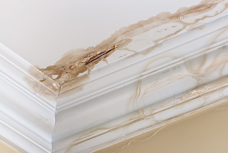 Roof Leaks